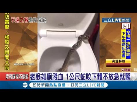 男廁所有一條蛇|【男廁所有一條蛇】男廁有條蛇正對馬桶求救！遊客驚嚇奪門而出。